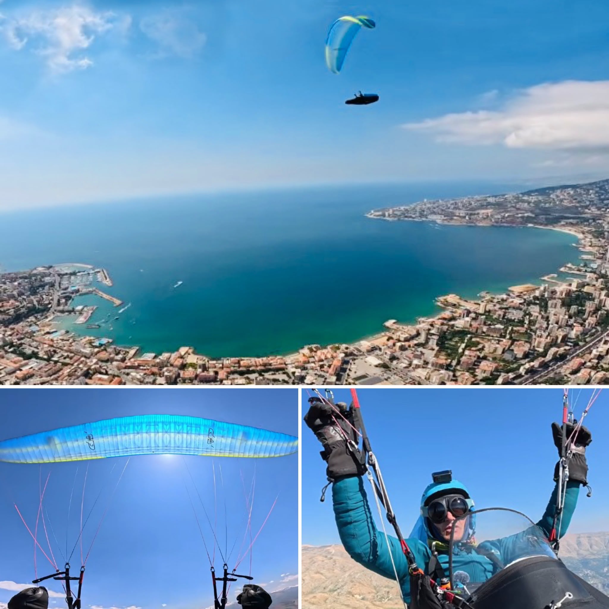 Ziad Bassil's video review of TORRE